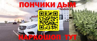 гашик Будённовск
