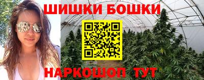 гашик Будённовск