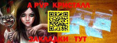 гашик Будённовск