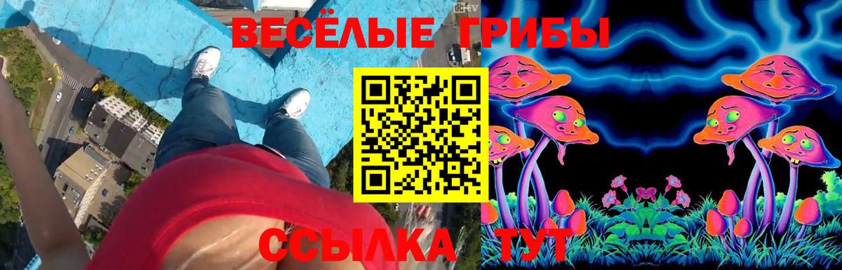 Псилоцибиновые грибы Cubensis Медногорск